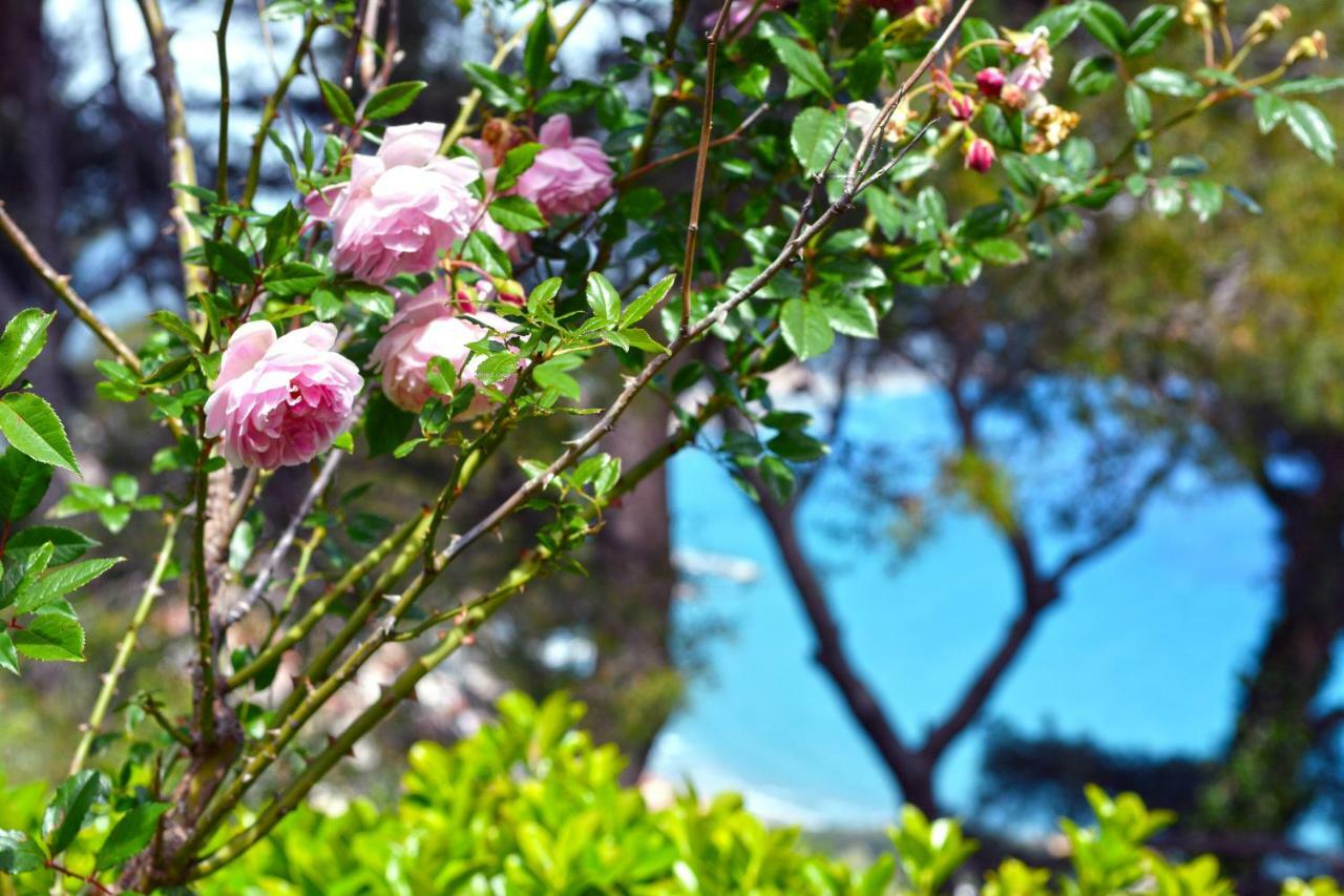 Torre Alpicella Holiday Home, A Scenic Escape Into Nature And Relaxation Diano Marina Eksteriør billede